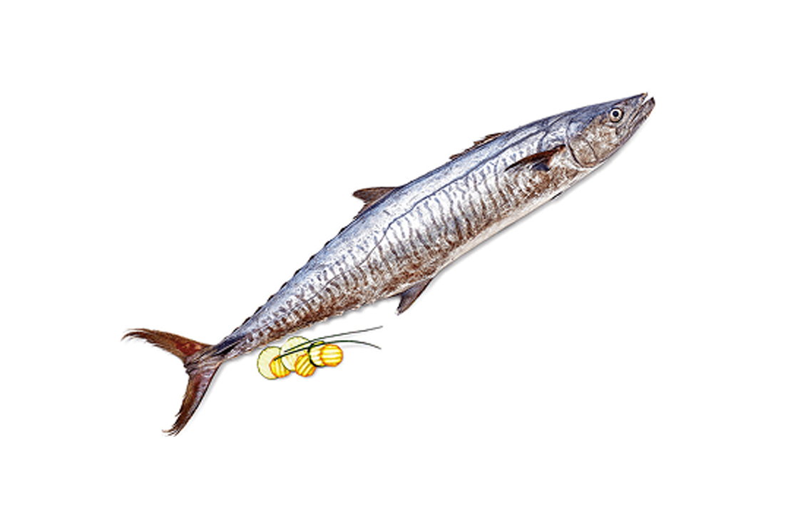 Seer Fish